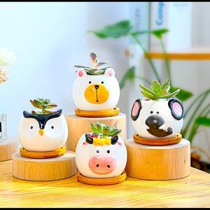 Animal Succulent Pots with Bamboo Trays